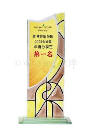 晶采獎座 - 2025 文洋獎盃 領光映彩彩透玻璃獎座